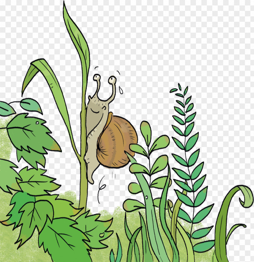 Escargot Sans Coquille Clip Art Illustration Snail Insect Leaf PNG