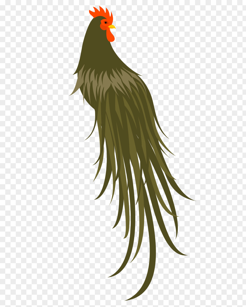 Bird Rooster Of Prey Beak Feather PNG