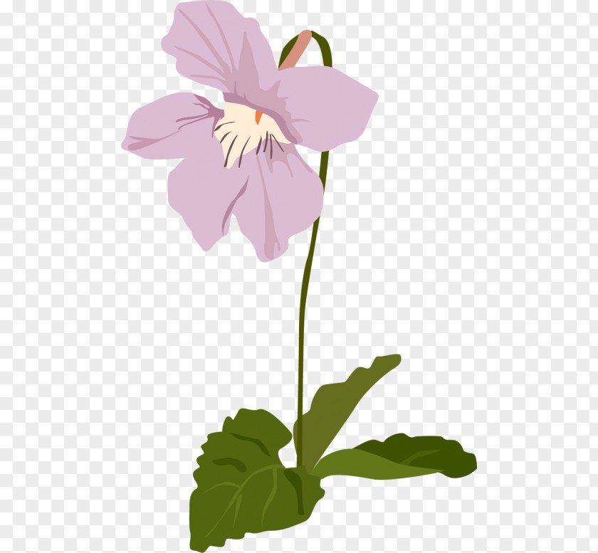 Design Pansy Mallows Floral Clip Art PNG