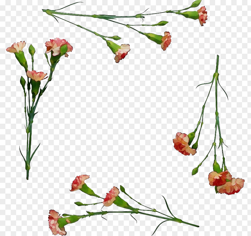 Floral Design PNG