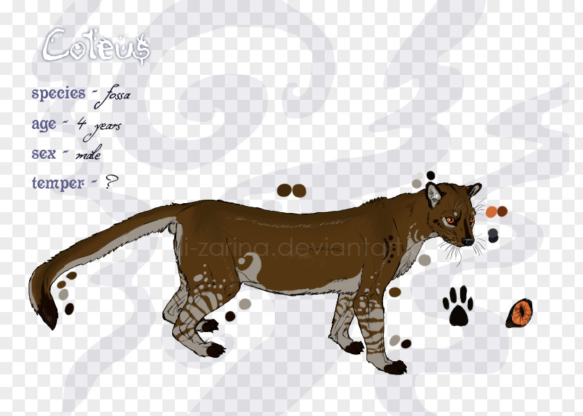 Lion Cat Lemurs Cougar Mammal PNG