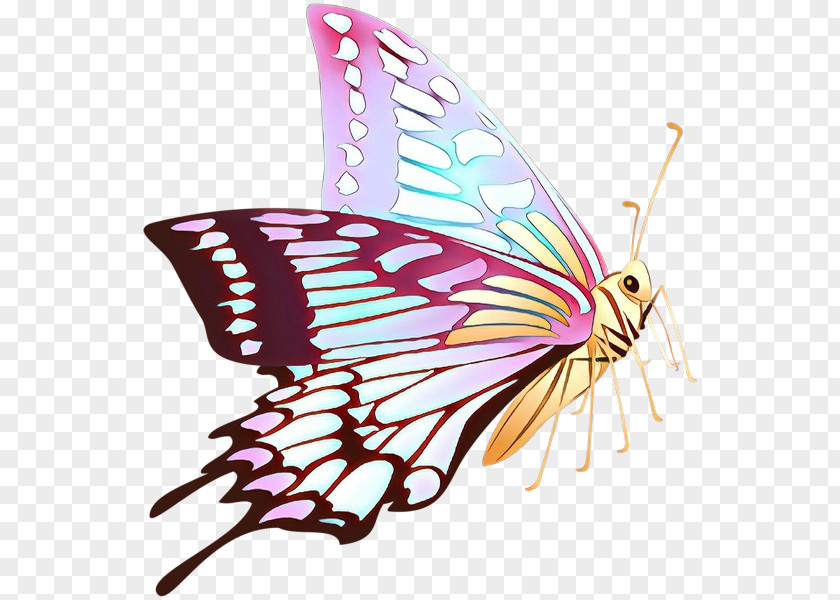 Monarch Butterfly Clip Art Stock Photography Illustration PNG