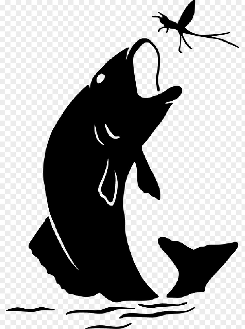 Vector Graphics Clip Art Bass Fishing Image PNG