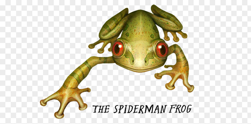 Frog True Spider-Man Crazy Monster Frogs Amphibians PNG