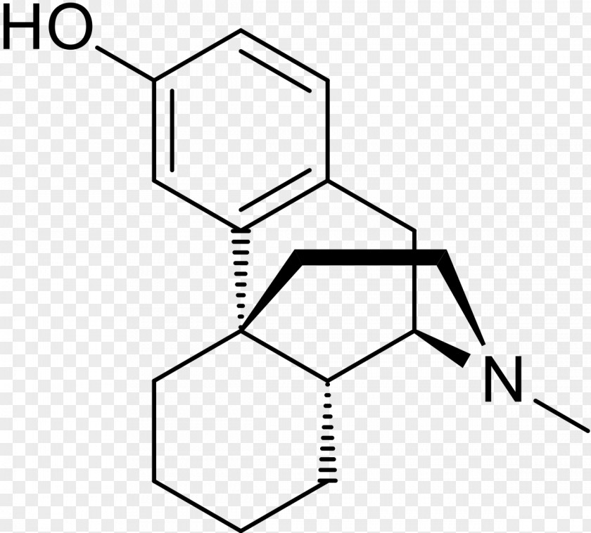 Levorphanol Opioid Morphine Therapy Naloxone PNG