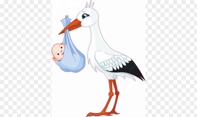 Stork Infant Ciconia Baby Shower Clip Art PNG
