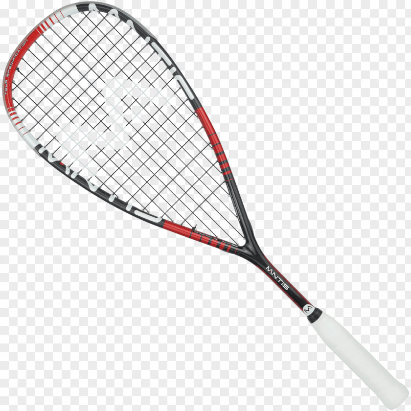 String Red Racket Squash Rakieta Tenisowa Babolat Wilson Sporting Goods PNG