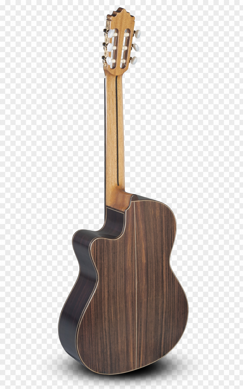 Acoustic Guitar Acoustic-electric Tiple Cavaquinho PNG