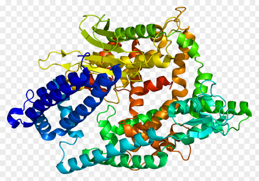 Cathepsin Antibiotics Protein Wikipedia THOP1 PNG