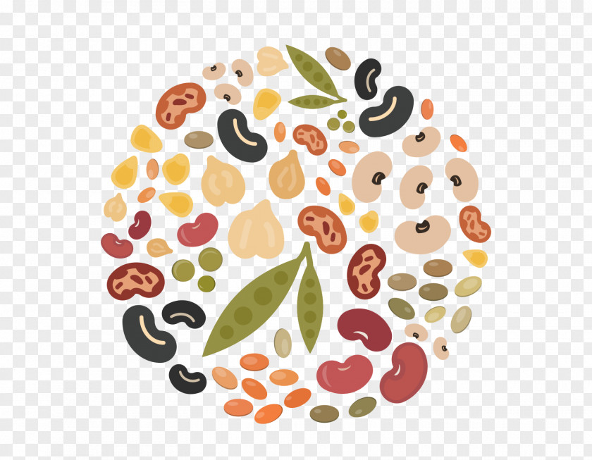 Cuisine Superfood Circle Leaf PNG