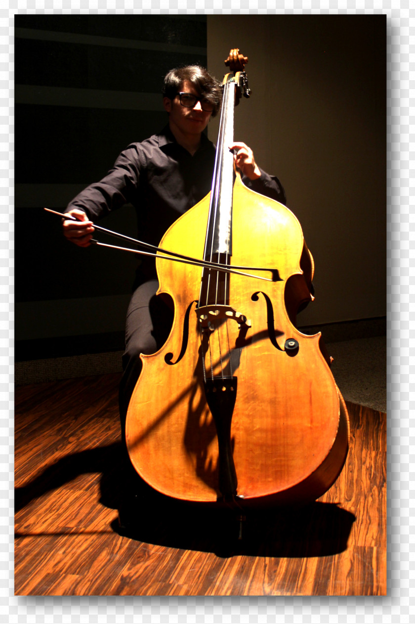 Piano Performances Bass Violin Double Violone Viola Octobass PNG