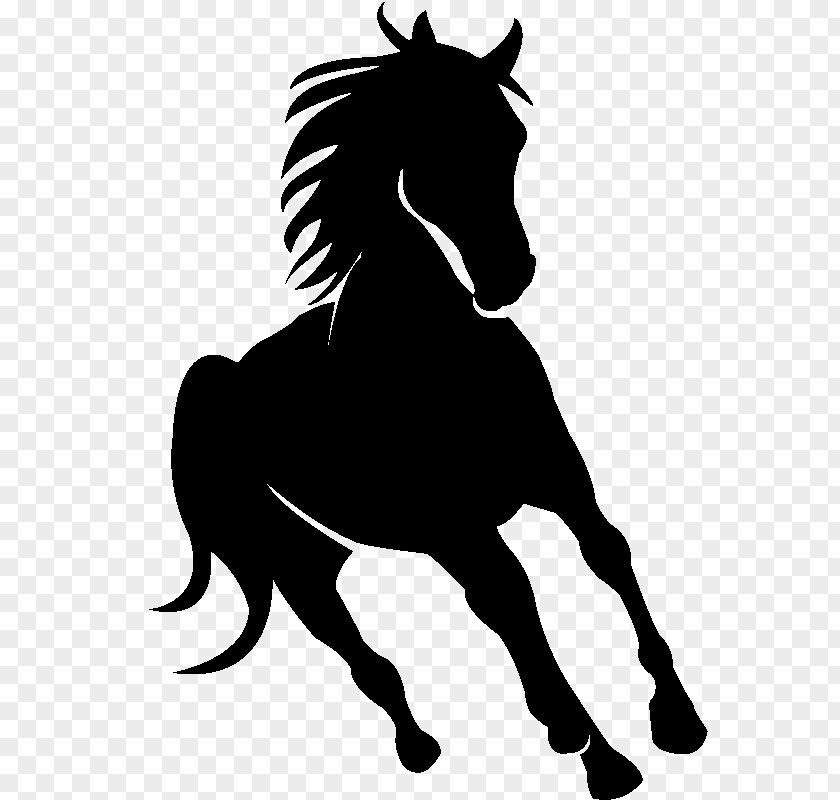 Silhouette Arabian Horse Friesian Drawing PNG