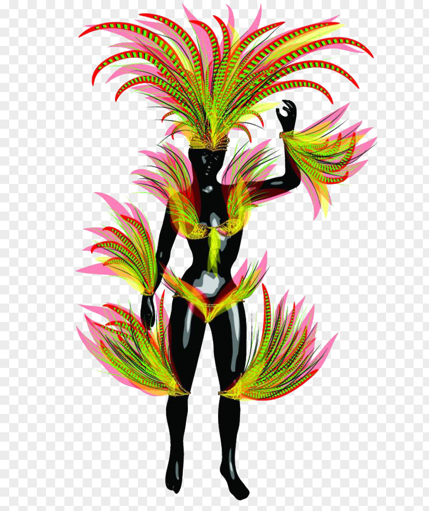 The Feathers Of A Freak Brazilian Carnival In Rio De Janeiro PNG