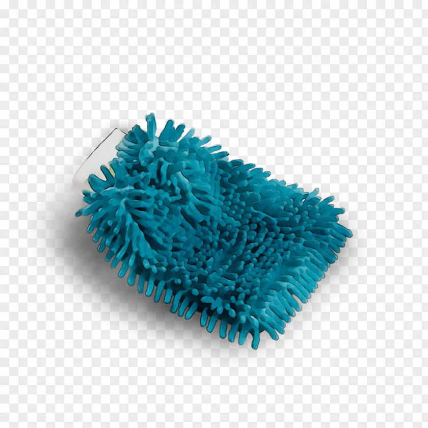 Turquoise PNG