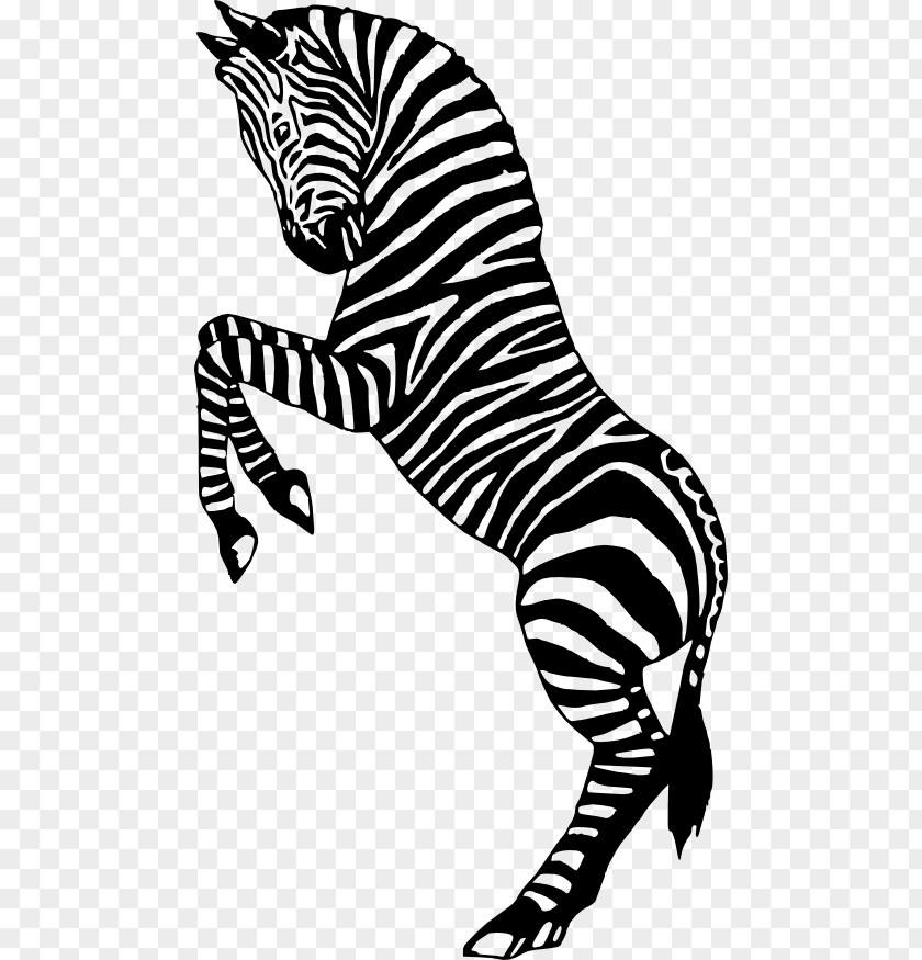 Zebra Silhouette Cliparts Circus Clip Art PNG