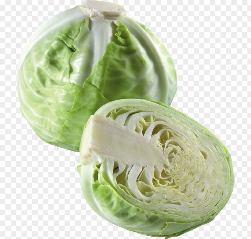 Cabbage Vegetable Clip Art Cauliflower PNG