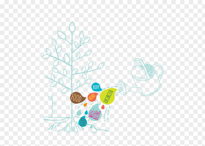 Drawing Plant Healthy Food PNG