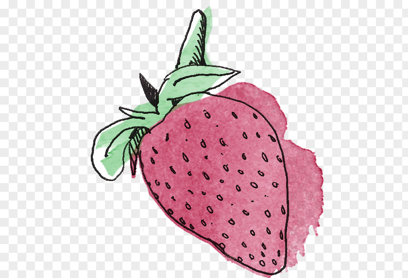 Drawing Strawberries Strawberry Watercolor Painting PNG
