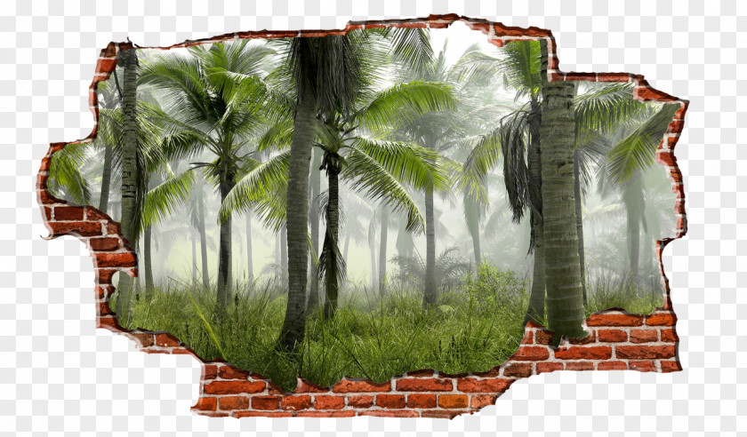 Breaking Wall Arecaceae Tree Tropical Rainforest Frond PNG