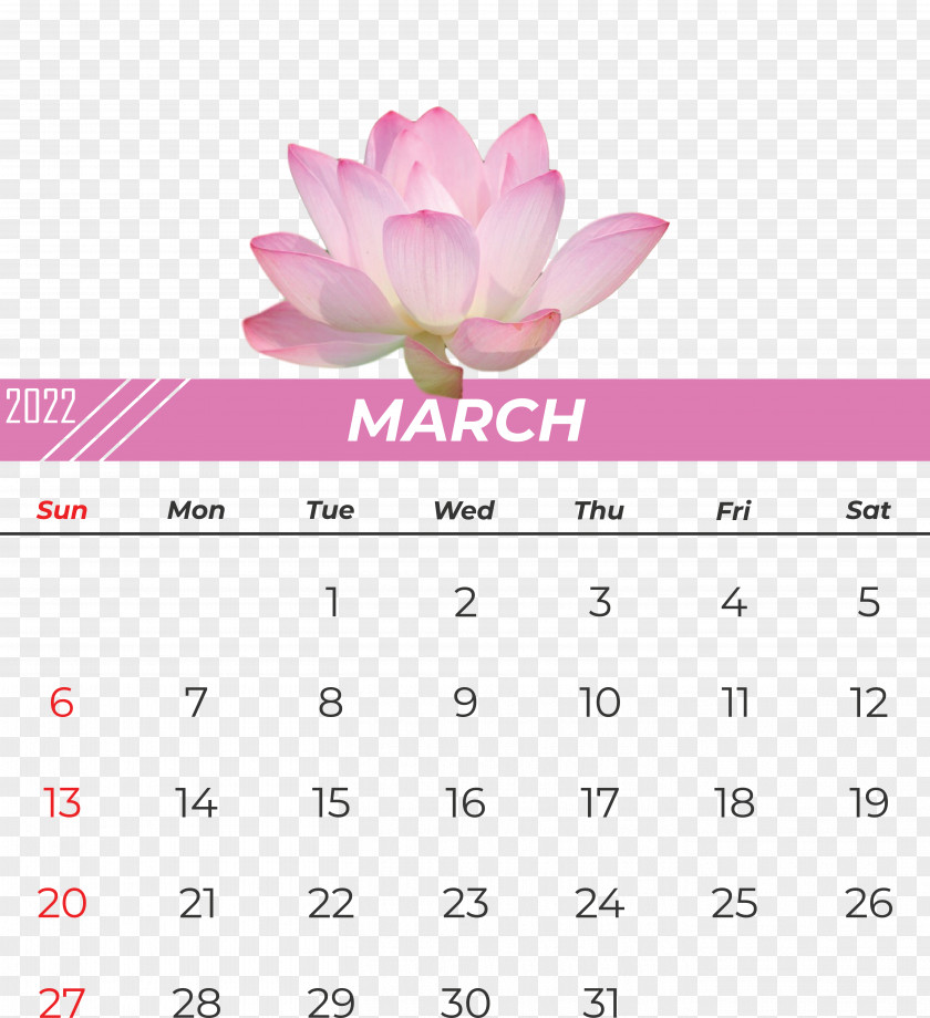 Calendar Flower Font Petal Pink M PNG