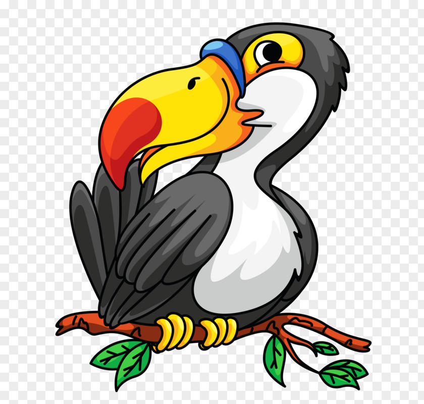 Hornbill Transparency And Translucency Vector Graphics Illustration Toucan Clip Art Bird PNG