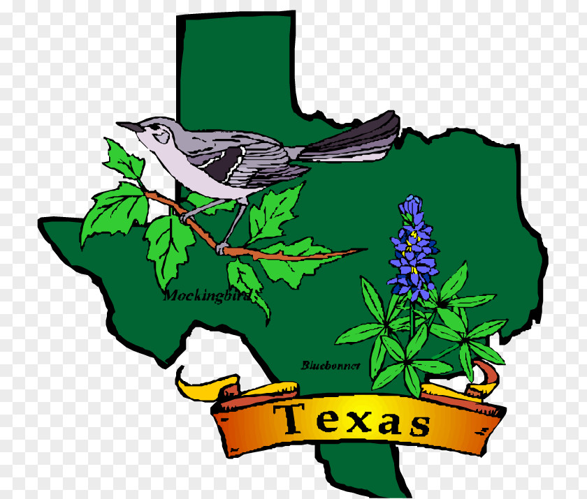 Lawsuit Cliparts Texas Utah Symbol Bluebonnet Clip Art PNG