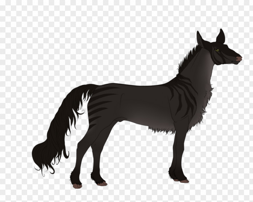 Mustang Mare Stallion Donkey Dog PNG