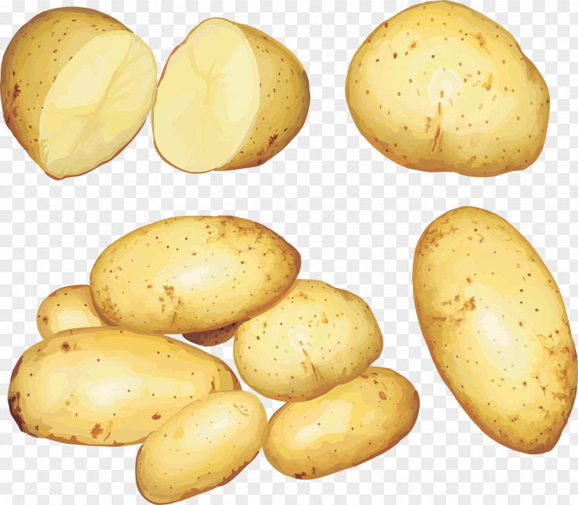 Potato Images Hamburger Wedges French Fries Cheeseburger PNG