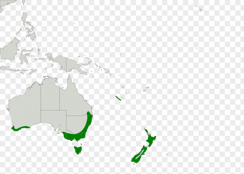 TAURUS Australia World Map Country Continent PNG
