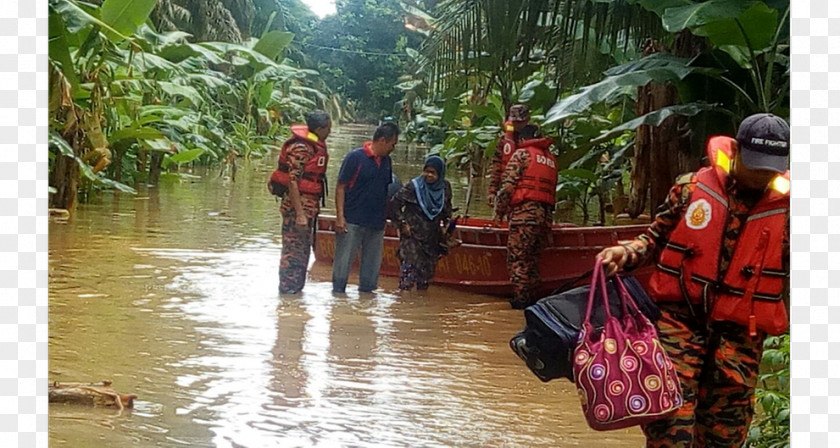 Tree Flood Tourism PNG
