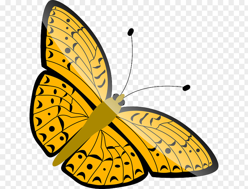 Butterfly Monarch Orange Clip Art PNG