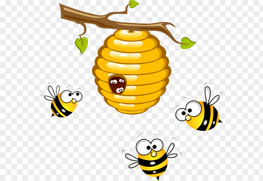 Hive Clipart Beehive Honey Bee Clip Art PNG