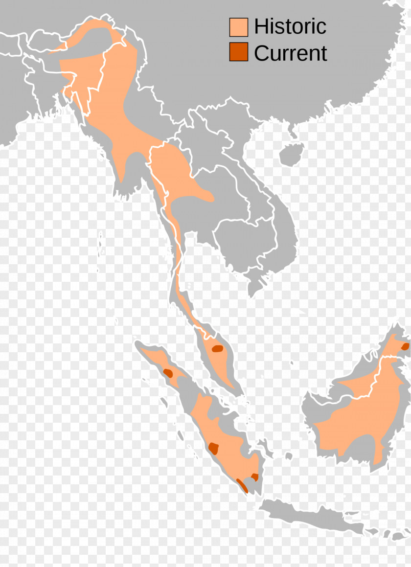 Indonesia Map Javan Rhinoceros Sumatran PNG