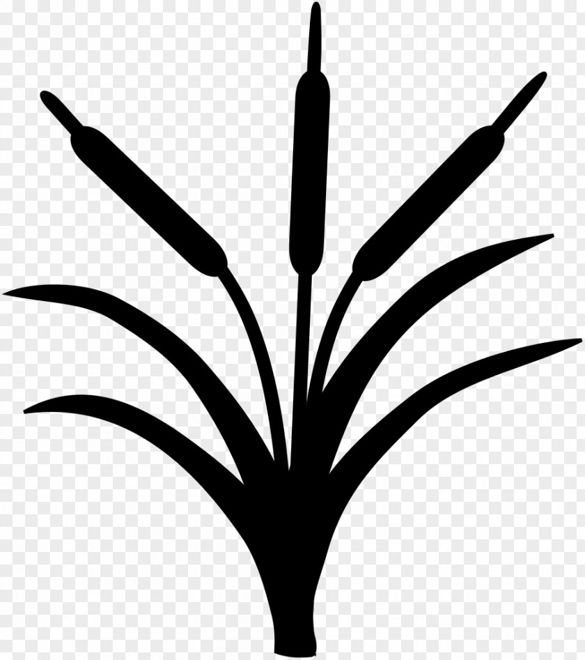 Leaf Plant Stem Flower Line Clip Art PNG