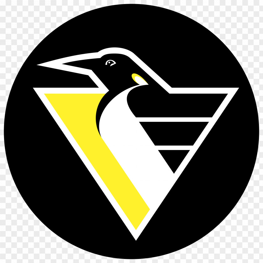 Pittsburgh Penguins National Hockey League Ice Pirates PNG