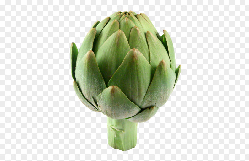 Artichokes Artichoke Veggie Burger Vegetable Grocery Store PNG