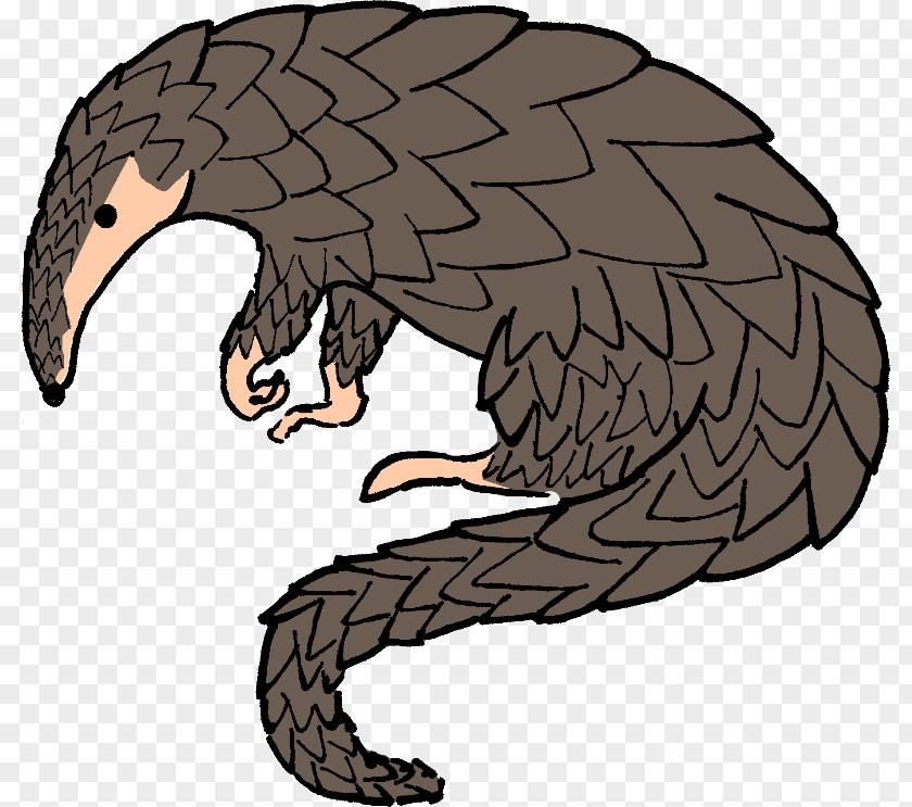 Cartoon Rattlesnake Anteater Armadillo Pangolins Clip Art PNG