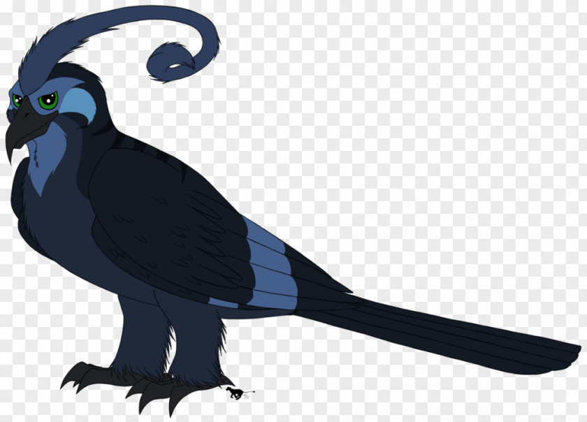 Feather Beak Tail PNG