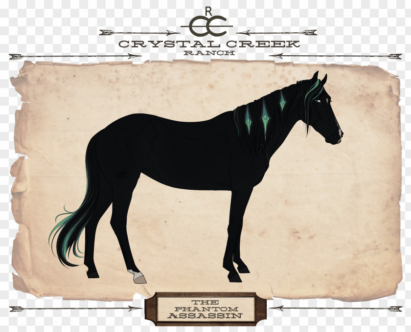 Walter White Jesse Pinkman Stallion Black Desert Online Pony PNG