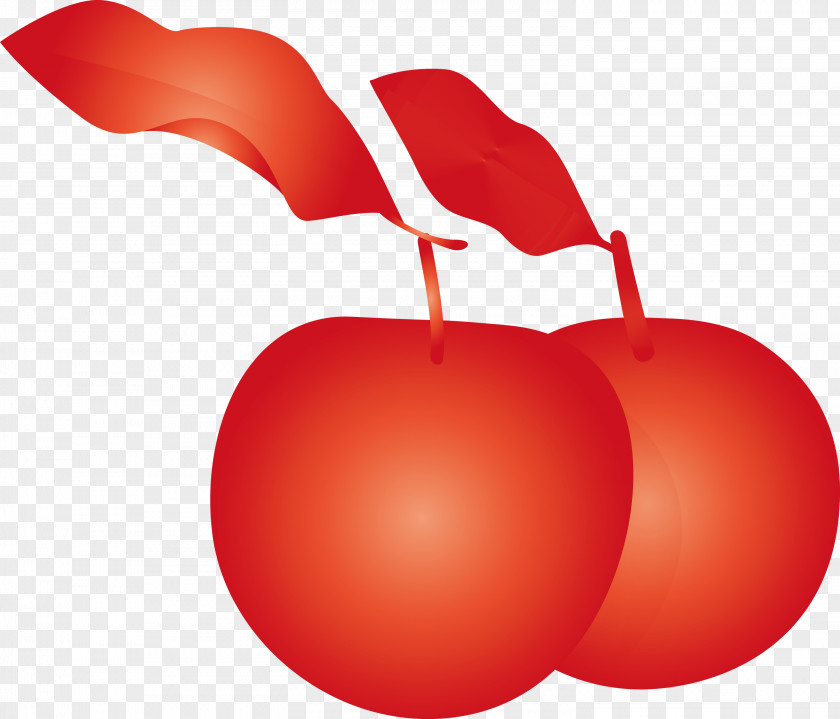 Apple Fruit PNG