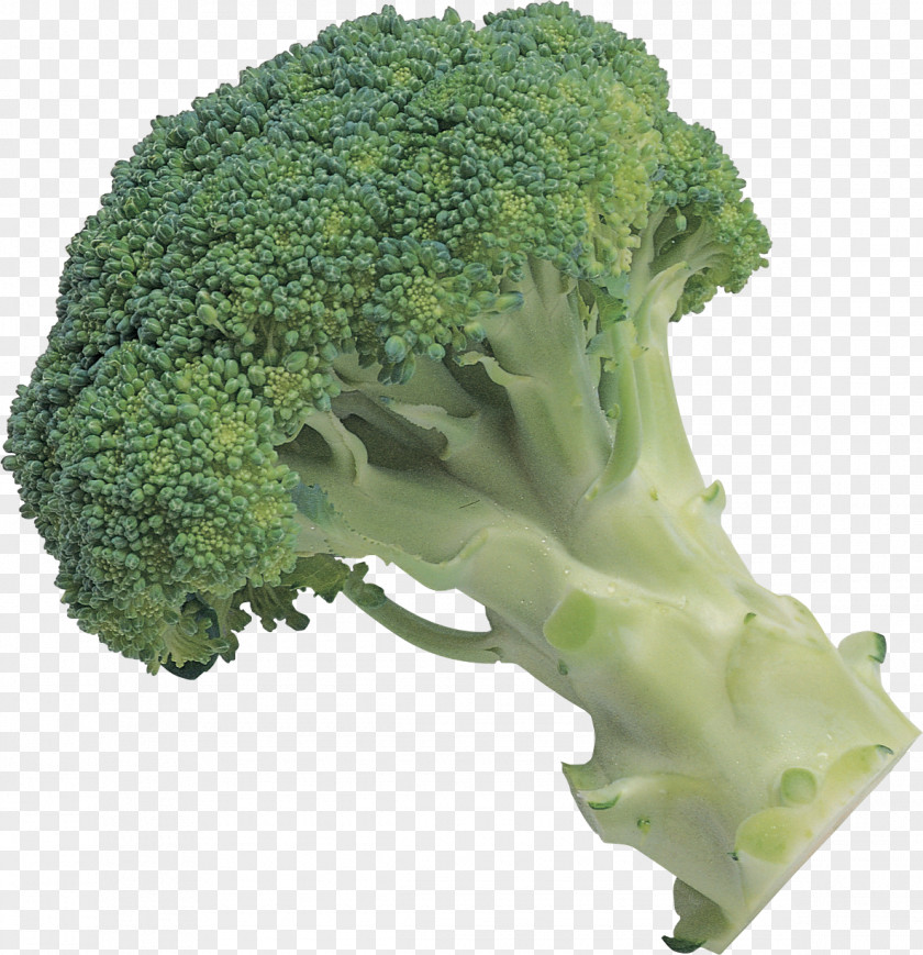 Broccoli Image Slaw PNG