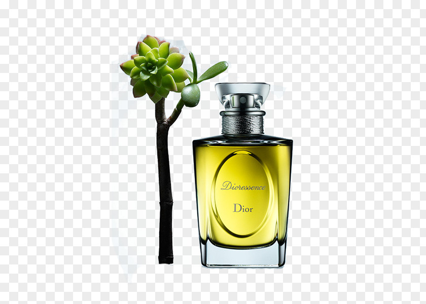 Dior Chanel Perfume Essential Oil Christian SE Designer PNG