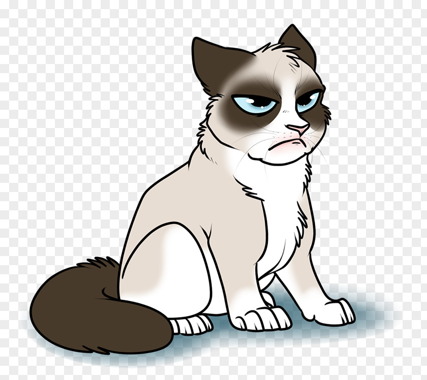 Kitten Whiskers Grumpy Cat Snowshoe Scottish Fold PNG