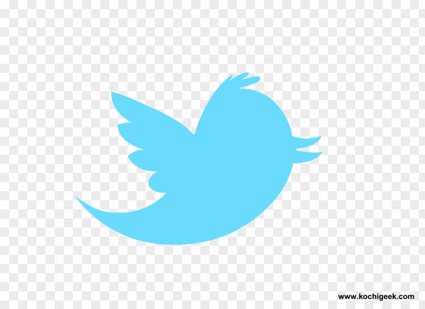 Twitter Social Media Logo Information Mascot PNG