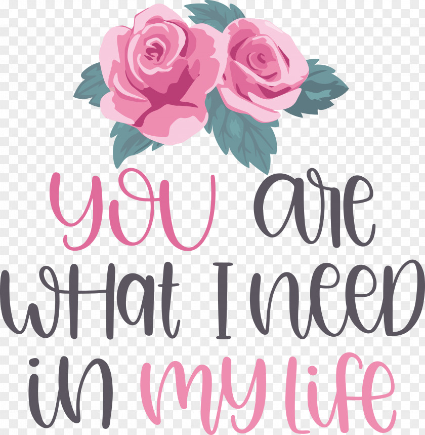 Valentine Valentines Quote PNG