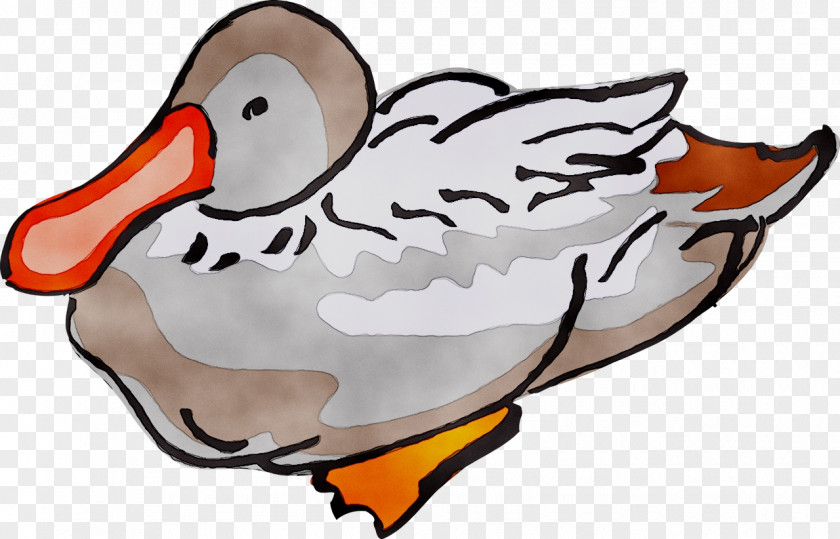 Duck Clip Art Bird Vector Graphics Image PNG
