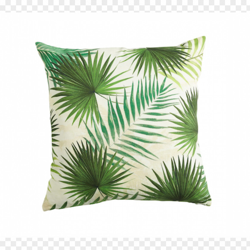 Green Pillow Throw Pillows Cushion PNG