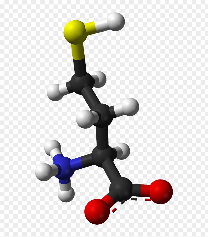 Health Homocysteine Molecule Chemistry Nutrition PNG
