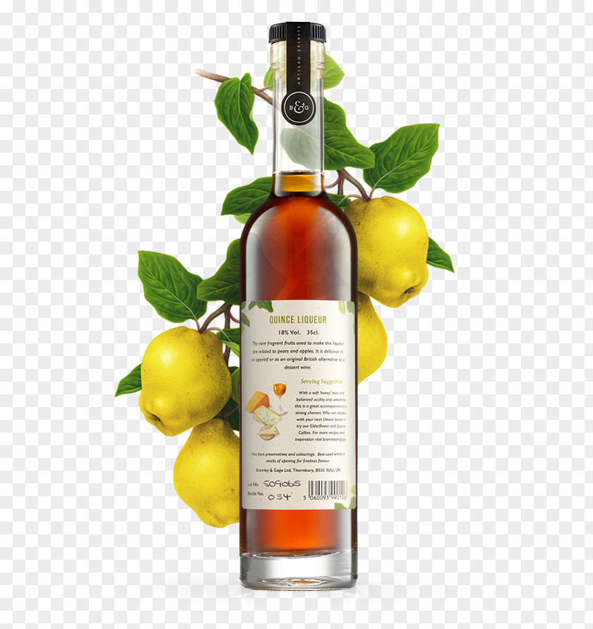 Pear Liqueur Quince Wine Apple PNG