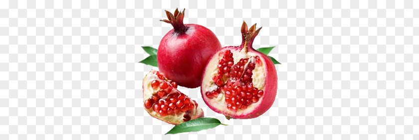 Pomegranate PNG clipart PNG